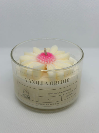 Vanilla Orchid